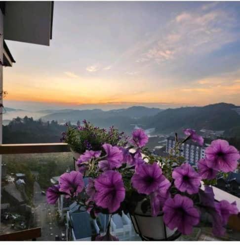 Kensington Sunrise Sg, Palas Horizon,Kea Farm Brinchang Exterior foto